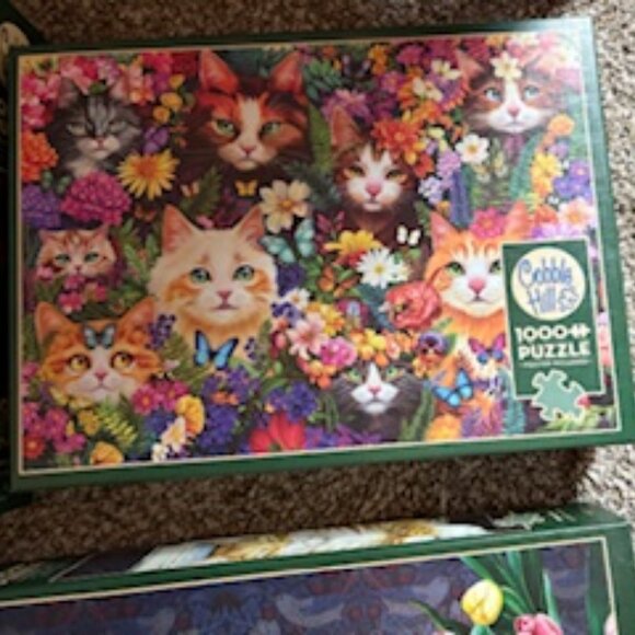 Puzzles - Cobble Hill 1000 Piece  (6 Puzzles) - Picture 4 of 6